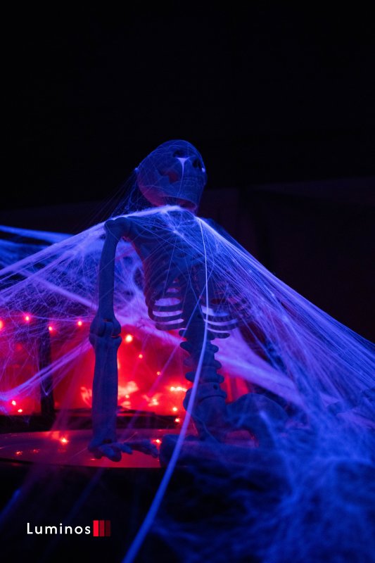 Halloween - BVSMP 2025